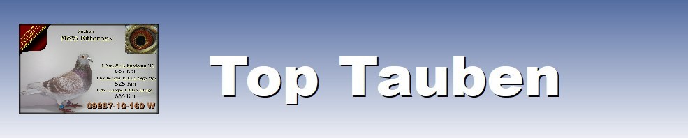 �ber uns - racingpigeon.de